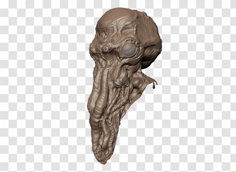 Bone Jaw Skull - Head Transparent PNG