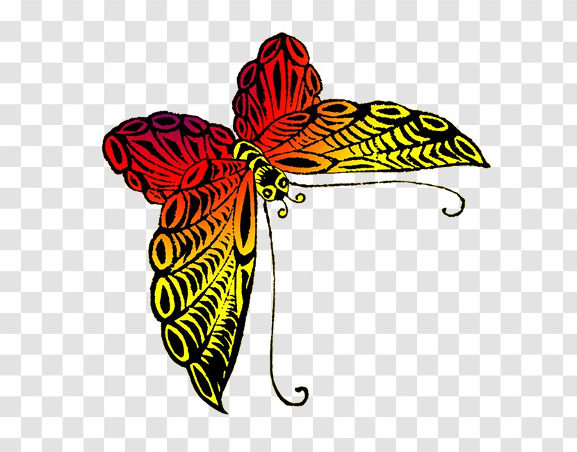 Butterfly Insect Drawing Black Swallowtail Clip Art - Flower - Red Transparent PNG
