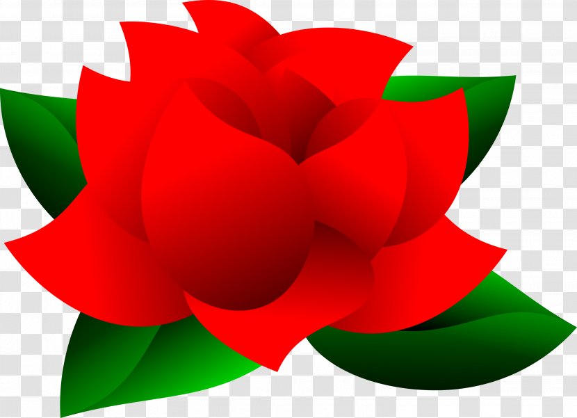 Flower Desktop Wallpaper Red Clip Art - Petal Transparent PNG