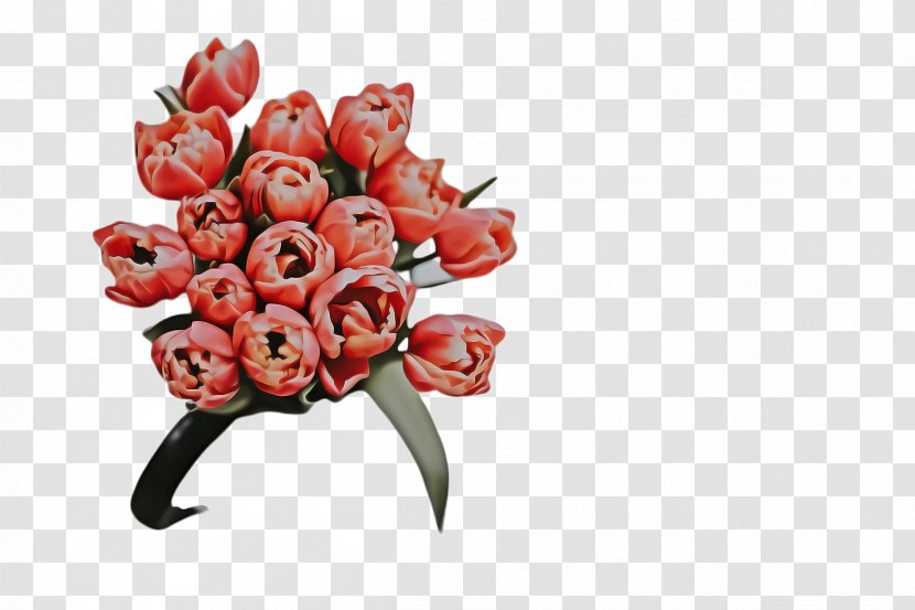 Lily Flower Cartoon - Bouquet - Bud Family Transparent PNG