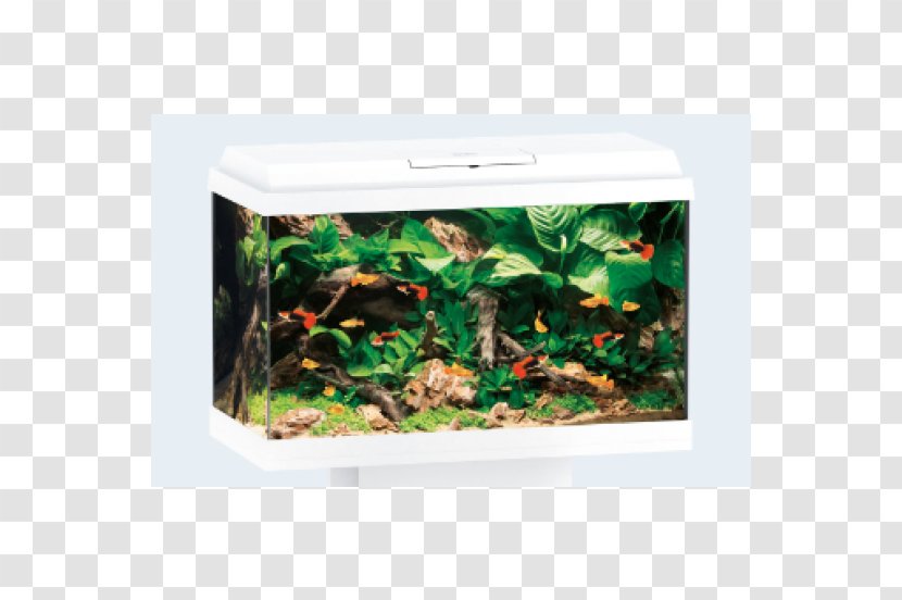 Aquarium JUWEL Primo LED Juwel Rio 240 Cabinet White - Akvarium Transparent PNG