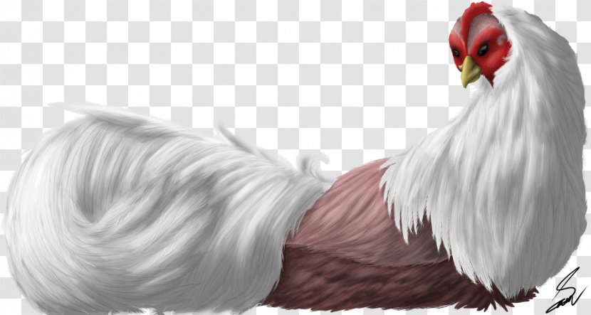 Rooster Feather Beak Fur Tail Transparent PNG