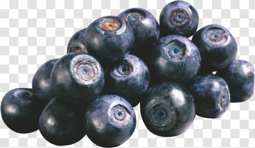 European Blueberry Bilberry Skin Vaccinium Uliginosum - Produce - Blueberries Transparent PNG