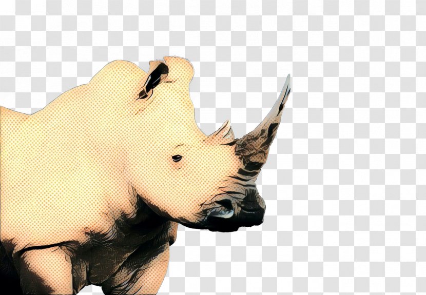 Rhinoceros Black White Animal Figure Snout - Wildlife Horn Transparent PNG