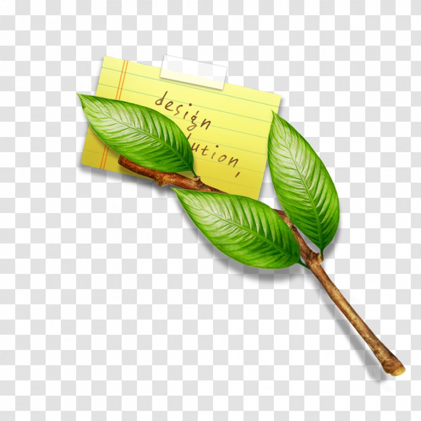Leaf Green Illustration - Leaves Envelopes Transparent PNG
