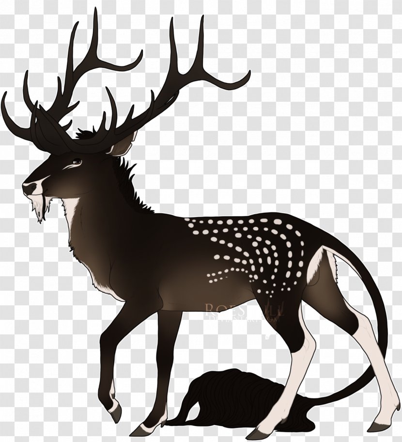 Reindeer Elk Antler White Wildlife - Deer Transparent PNG