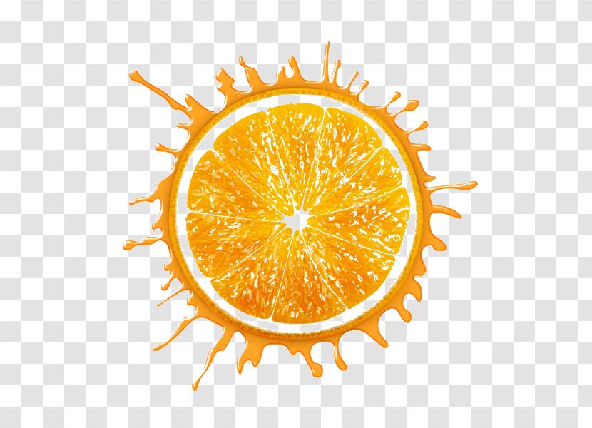 Lemon Drawing - Orange Transparent PNG