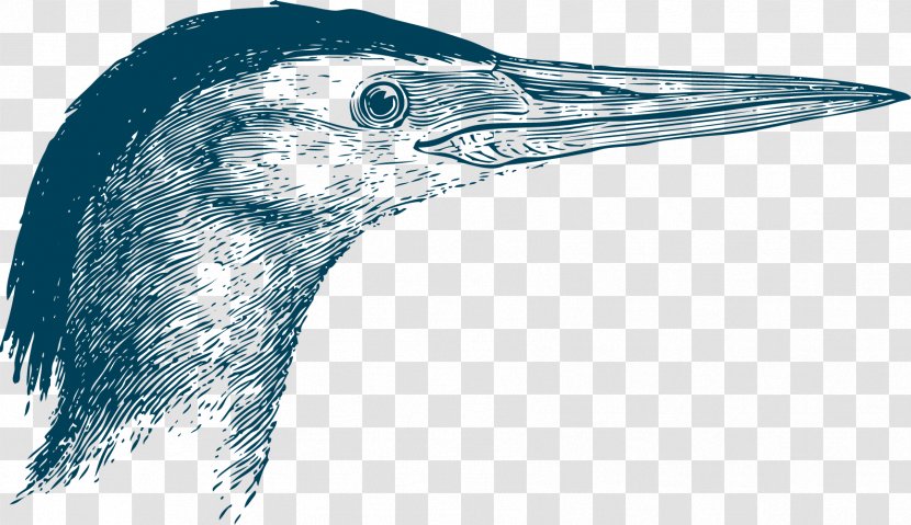 Goose Beak Bird Swallow - The Of Wild Transparent PNG