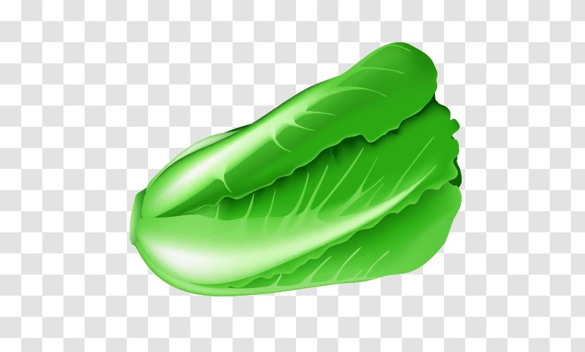 Cabbage Vegetable - Cartoon Transparent PNG