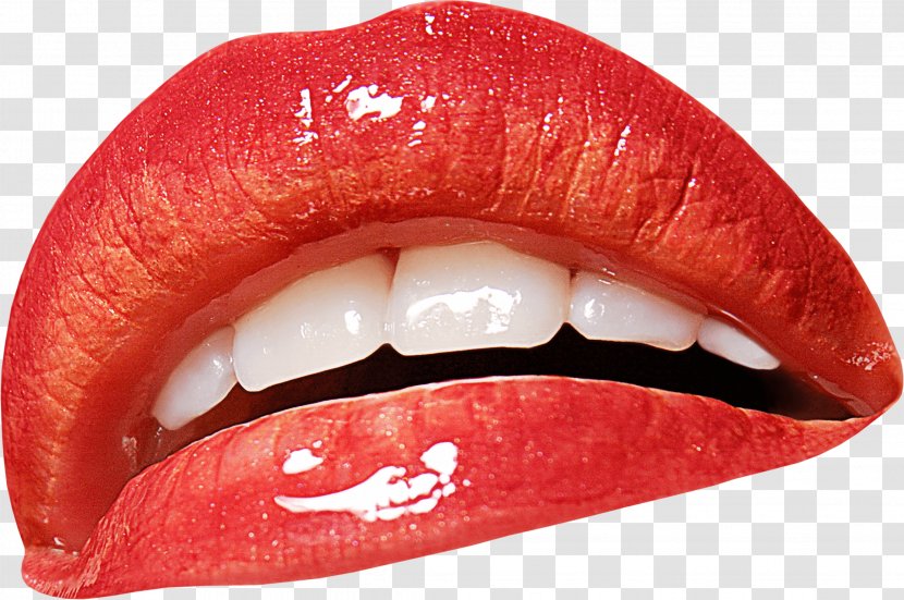 Lip Mouth Clip Art - Jaw - Smile Transparent PNG