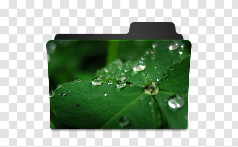 Desktop Wallpaper High-definition Television 1080p Photography - Green - Icon Grass Transparent PNG