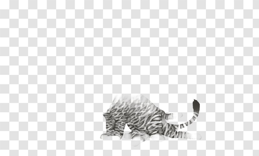 Whiskers Cat Drawing /m/02csf Tail - Black And White Transparent PNG