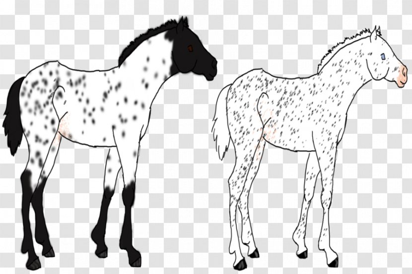 Mustang Foal Colt Stallion Bridle - Tail Transparent PNG