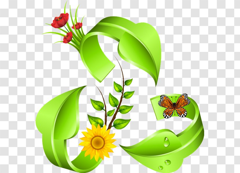 Environmental Protection Floral Design Movement Natural Environment Environmentally Friendly Transparent PNG