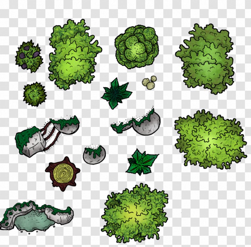 Drawing Fantasy Map Cartography Forest - Organism Transparent PNG