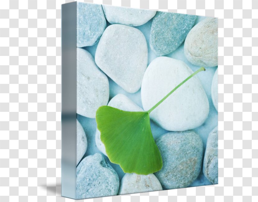 Petal Turquoise Photographic Printing Gemstone Imagekind - Aqua Transparent PNG