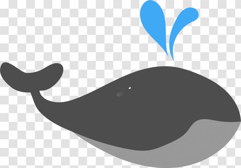 Moby-Dick Beluga Whale Wallpaper Transparent PNG