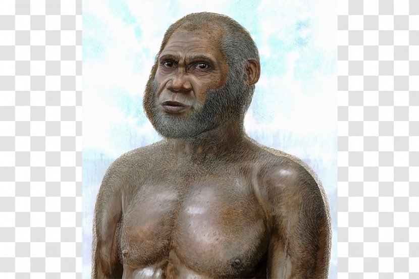 Neanderthal Red Deer Cave People Homo Sapiens Denisovan - Heart Transparent PNG