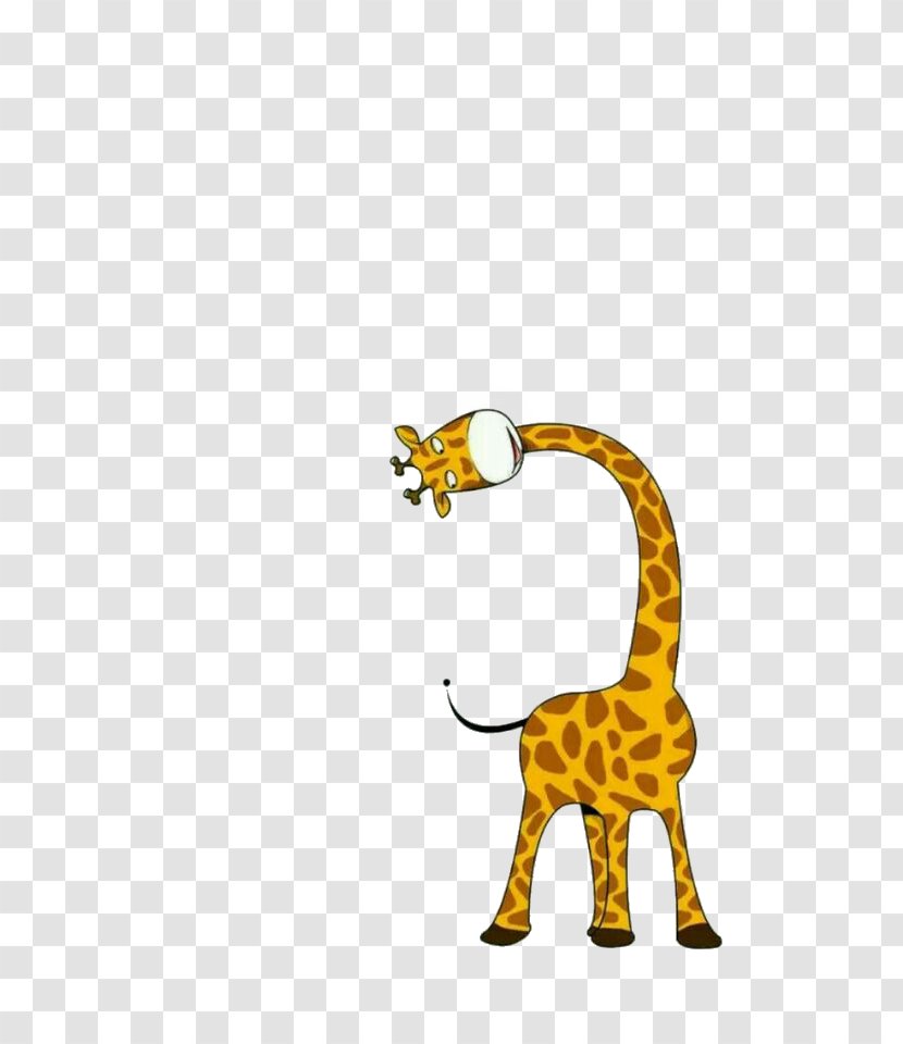 Giraffe Cartoon Drawing Illustration - Wildlife - Cute Transparent PNG