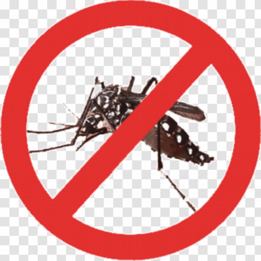 Ragging Smoking Cessation Clip Art - Stock Photography - Mosquito Transparent PNG