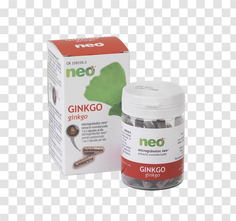 Ginkgo Biloba Ginkgoaceae Medicinal Plants Herb Capsule - Pharmacy - Ginkgo-biloba Transparent PNG