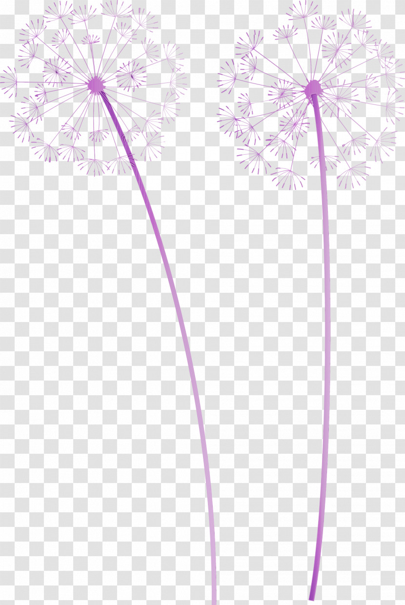 Lavender Transparent PNG