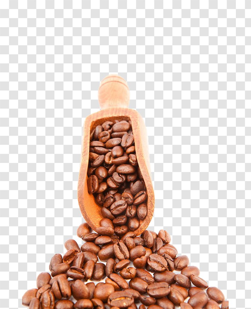 Jamaican Blue Mountain Coffee Tea Bean Caffeine Transparent PNG