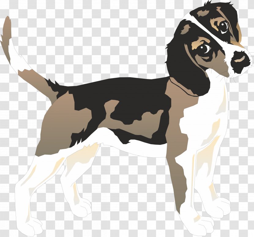 Basset Hound Beagle Bearded Collie Puppy - Greyhound - 3d Dog Transparent PNG