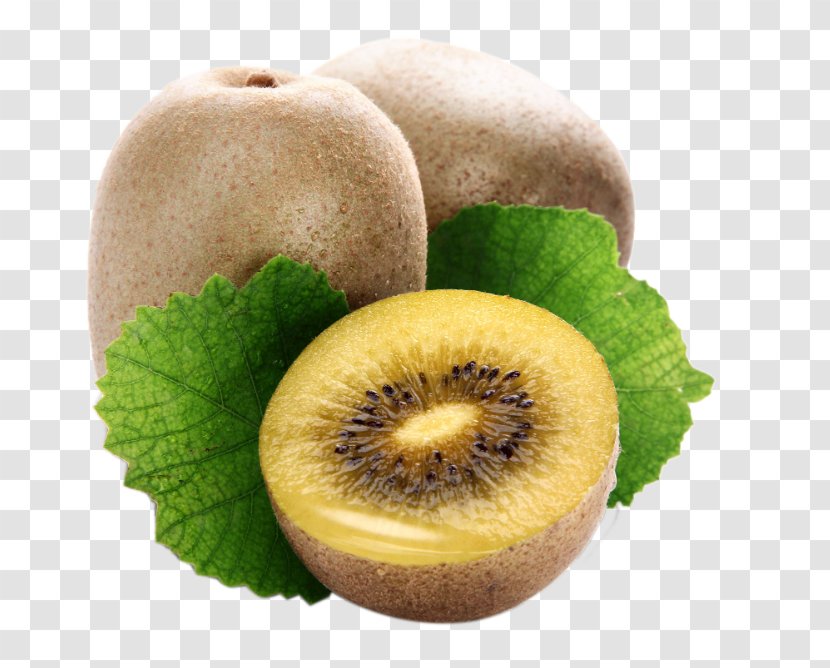Kiwifruit Food Hardy Kiwi Transparent PNG