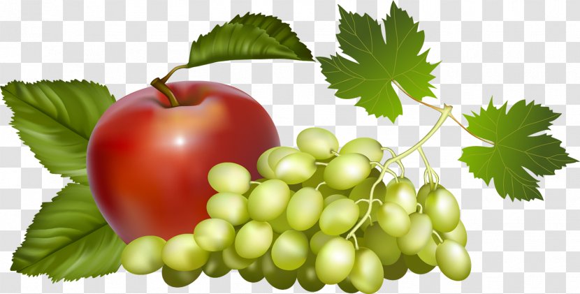Fruit Hat Drawing Grape - Natural Foods - Pomegranate Transparent PNG