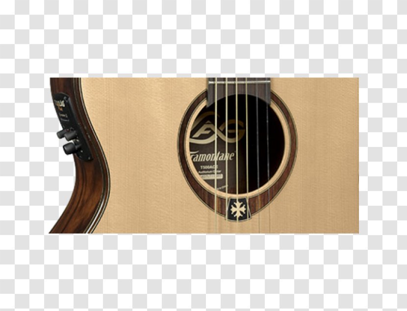 Acoustic Guitar Bass Acoustic-electric Tiple Cavaquinho - Watercolor Transparent PNG