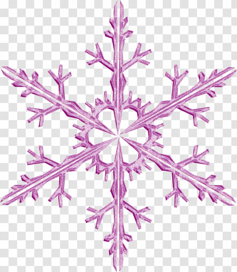 Symmetry Pattern Visual Arts Design Line - Snowflake Transparent Transparent PNG