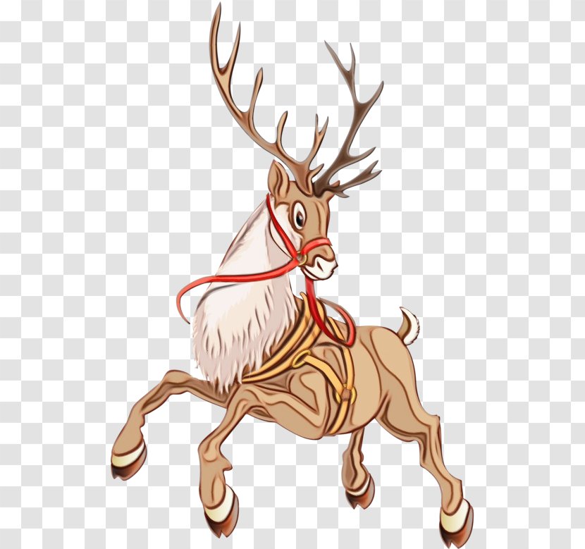 Reindeer - Wildlife - Drawing Transparent PNG