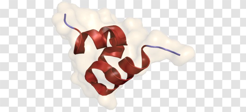 Osteocalcin Bone Carboxyglutamic Acid Matrix Gla Protein - Flower - Cartoon Transparent PNG