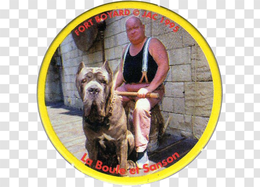 Fort Boyard Milk Caps Tazos Television In France Dog Breed - Carnivoran Transparent PNG