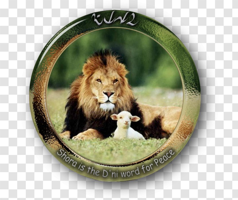 The Lamb And Lion Sheep Leopard Mutton - Prophet - Live In Peace Transparent PNG