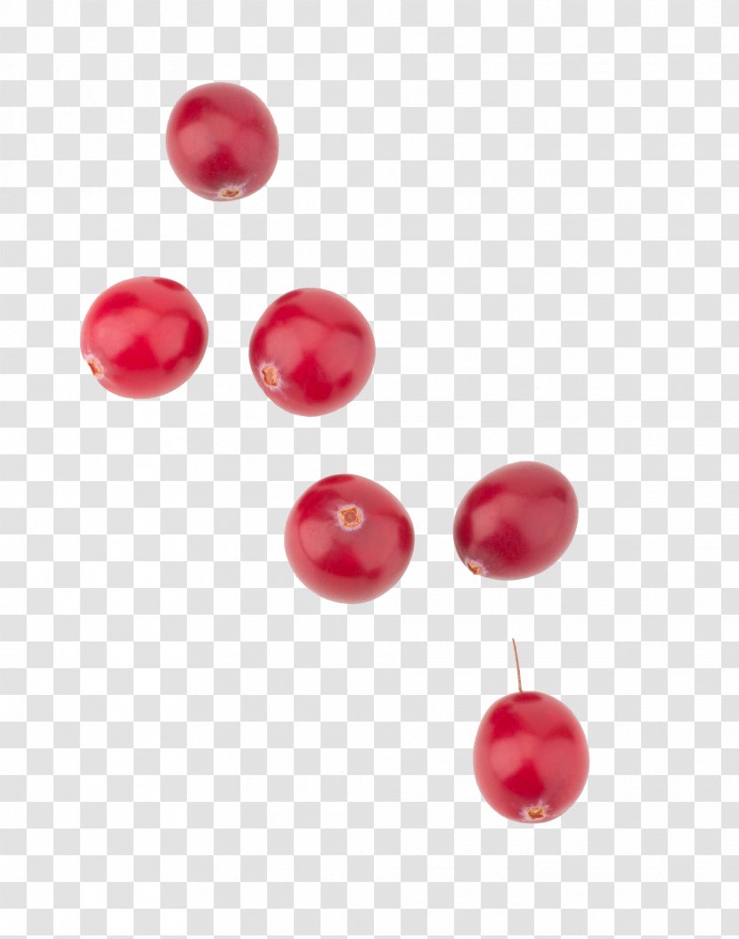 Cranberry Extract Fruit Lingonberry - Jewelry Making Transparent PNG