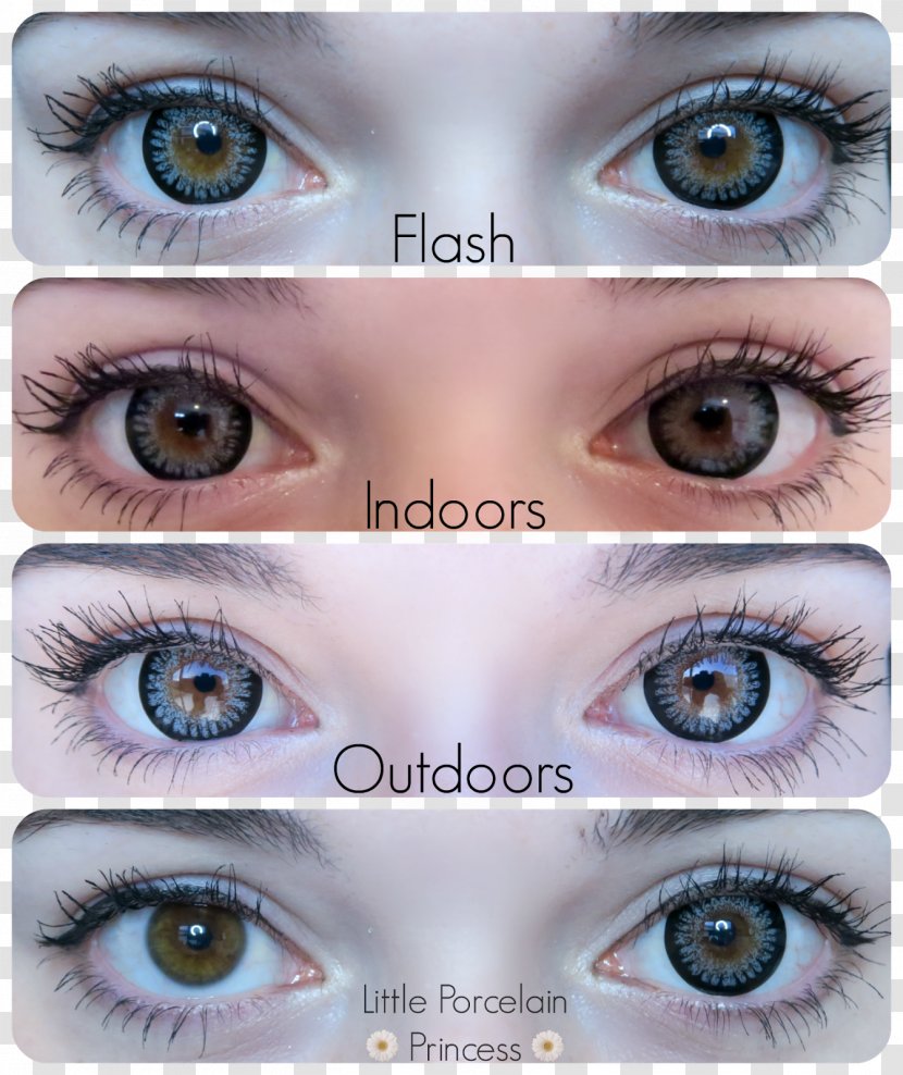 Eyelash Extensions Mascara Close-up Contact Lenses - Eyebrow - Black Sesame Transparent PNG