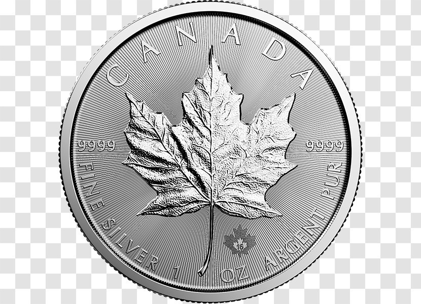 Canada Canadian Silver Maple Leaf Gold Transparent PNG