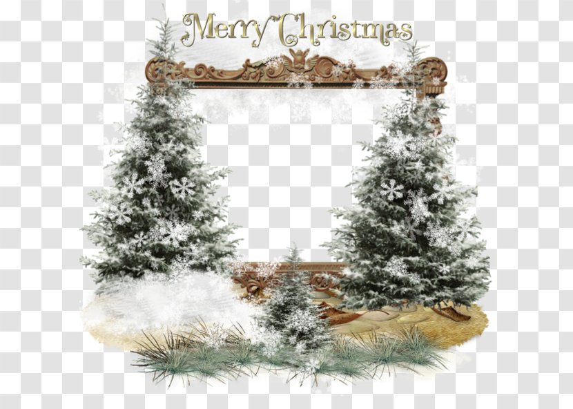 Christmas Tree Ornament Eve New Year - And Holiday Season Transparent PNG