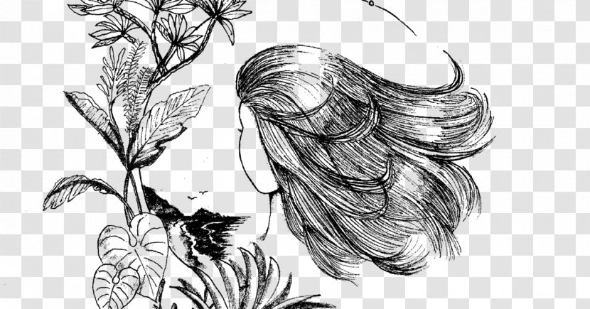 Visual Arts Line Art Cartoon Sketch - Flora - Hair Illustration Transparent PNG