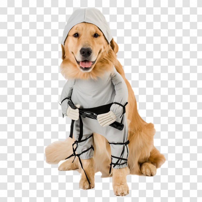 Pembroke Welsh Corgi Costume Pet Ninja Dog - Leash - Cute Puppy Transparent PNG