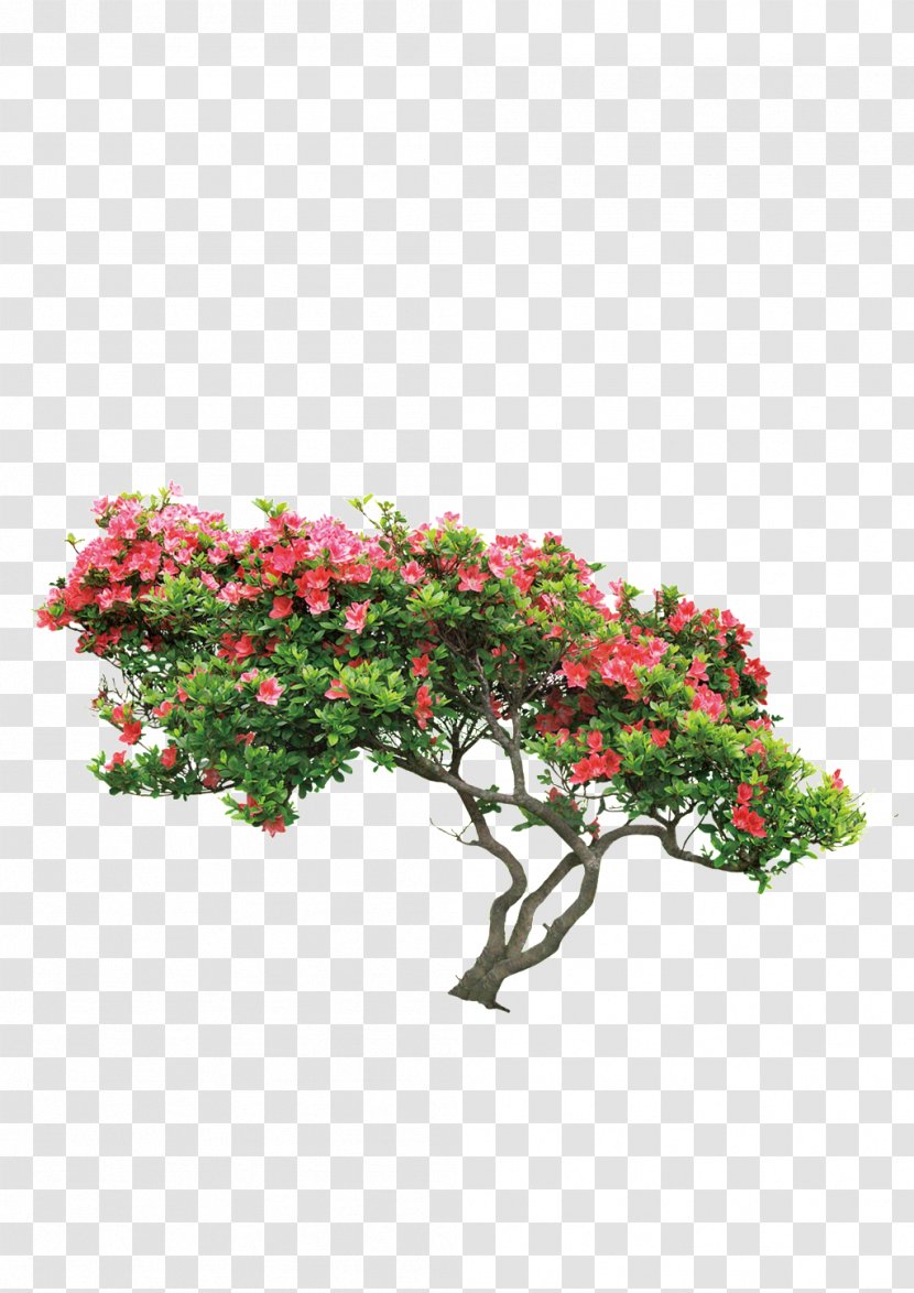 Image Tree Flower Transparent PNG