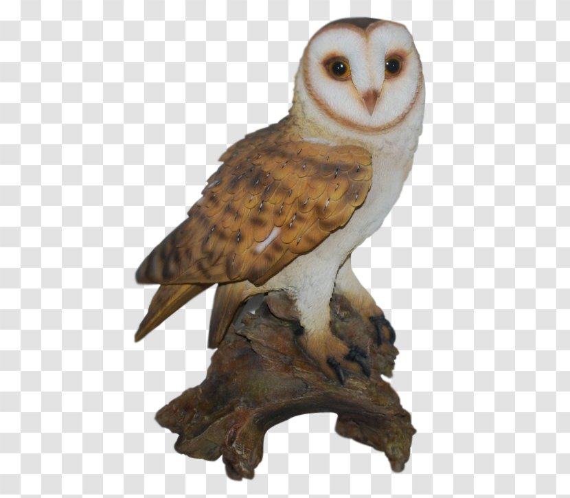 Tawny Owl Bird Barn Ornament - Longeared Transparent PNG