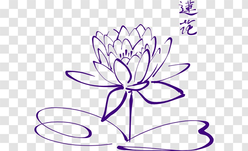 Drawing Sacred Lotus Line Art Image Clip - Painting - Purple Transparent PNG