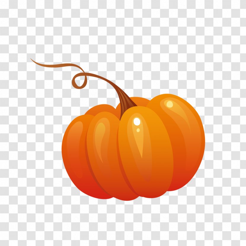 Autumn Icon - Pumpkin Transparent PNG