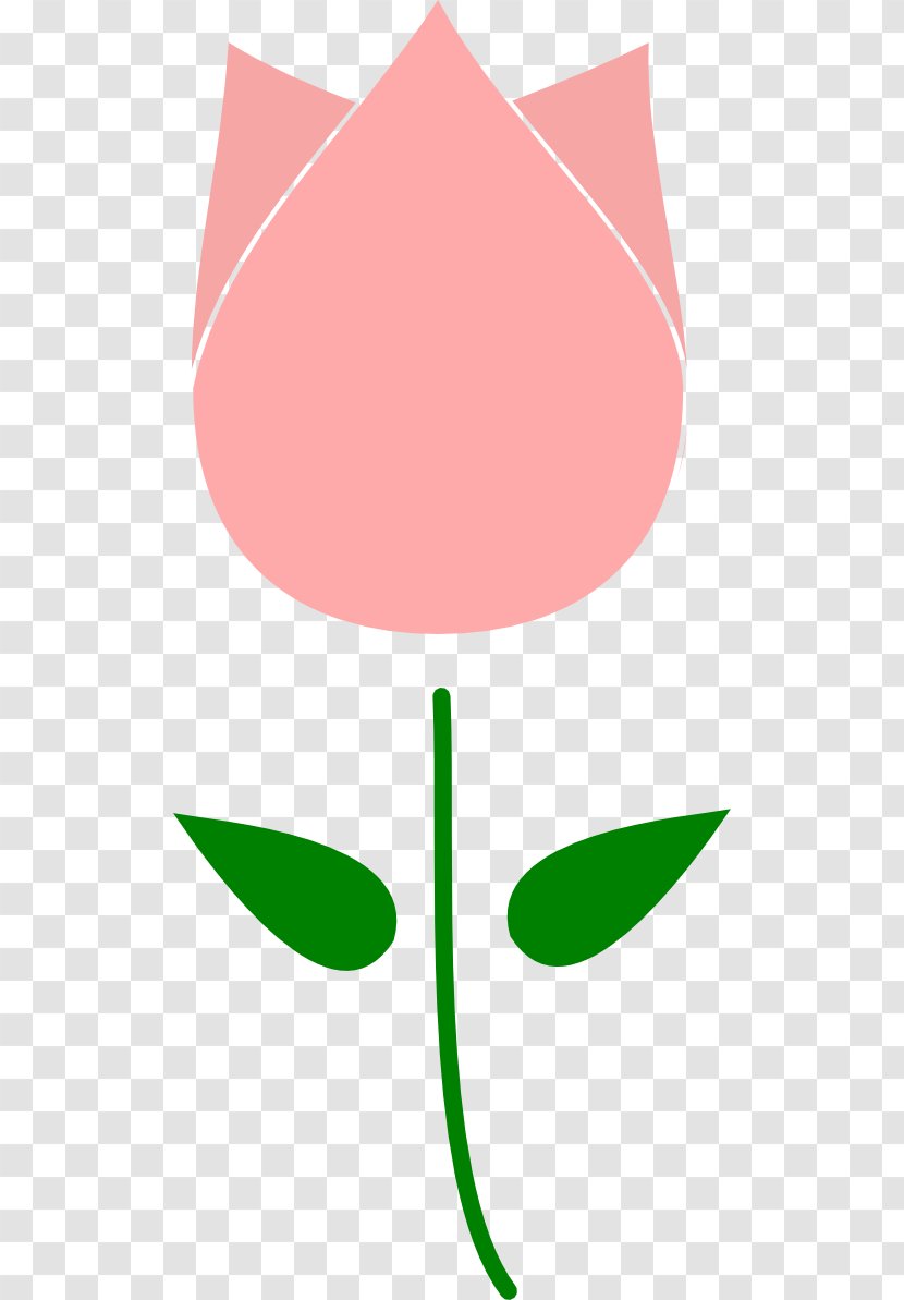 Tulip Flower Free Content Clip Art - Image Transparent PNG