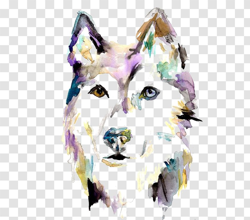 Siberian Husky Watercolor Painting - Wolf Transparent PNG