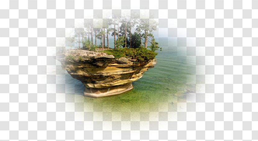 Turnip Rock Port Austin Lake Michigan Huron Superior - Tree - Lac Transparent PNG
