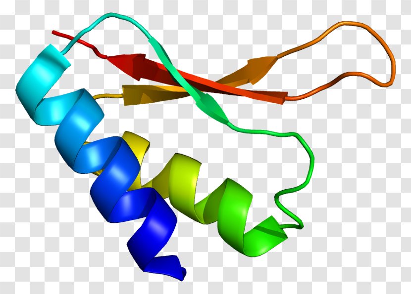 IGHMBP2 Gene Silencing Protein Mutation - Dnabinding Transparent PNG